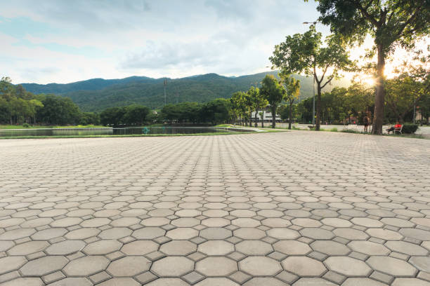 Best Custom Driveway Pavers  in Shady Spring, WV